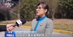 <b>水肥“精准投喂” 全国各地用科技浇出冬</b>