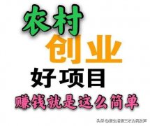 <b>搞什么项目赔本多呢</b>